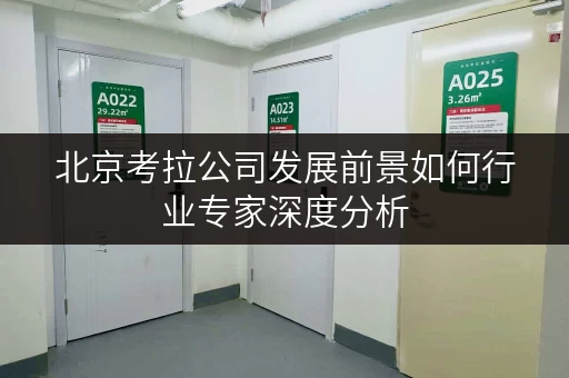 北京考拉公司发展前景如何行业专家深度分析