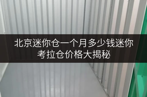 北京迷你仓一个月多少钱迷你考拉仓价格大揭秘 北京迷你仓一个月多少钱迷你考拉仓价格大揭秘