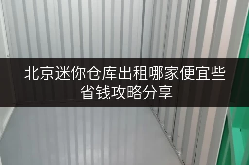 北京迷你仓库出租哪家便宜些 省钱攻略分享
