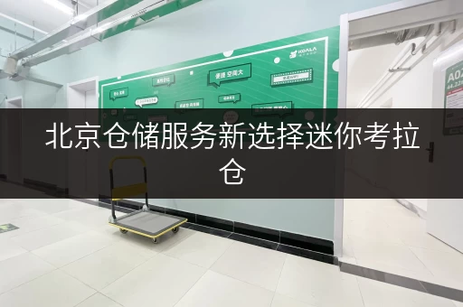 北京仓储服务新选择迷你考拉仓,让货物存放更省心 北京仓储服务新选择迷你考拉仓,让货物存放更省心