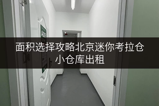面积选择攻略北京迷你考拉仓小仓库出租,让您空间无忧 面积选择攻略北京迷你考拉仓小仓库出租,让您空间无忧