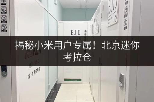 揭秘小米用户专属！北京迷你考拉仓，价格透明省钱攻略！