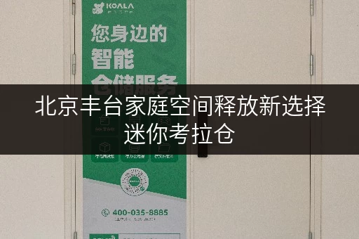 北京丰台家庭空间释放新选择迷你考拉仓，品质生活从此无忧