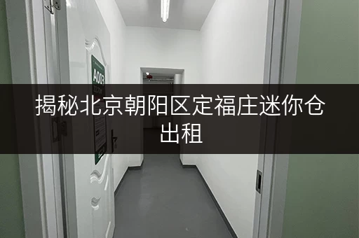 揭秘北京朝阳区定福庄迷你仓出租，价格透明省钱攻略！