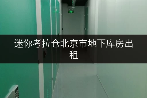 迷你考拉仓北京市地下库房出租,办公空间释放新境界 迷你考拉仓北京市地下库房出租,办公空间释放新境界