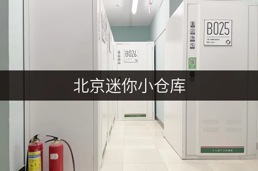北京迷你小仓库，让货物存放更省心存储方案