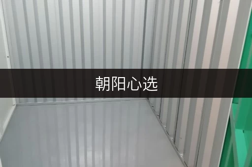 朝阳心选,迷你考拉仓,让您的物品安全“恒温恒湿” 朝阳心选,迷你考拉仓,让您的物品安全“恒温恒湿”