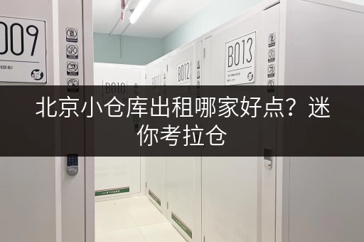 北京小仓库出租哪家好点?迷你考拉仓,您的私人储物空间守护者 北京小仓库出租哪家好点?迷你考拉仓,您的私人储物空间守护者