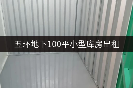 五环地下100平小型库房出租，迷你考拉仓助您货物存放更省心