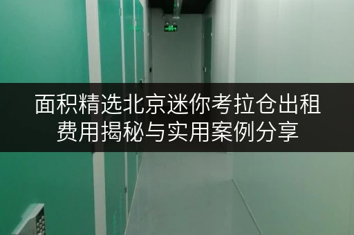 面积精选北京迷你考拉仓出租费用揭秘与实用案例分享
