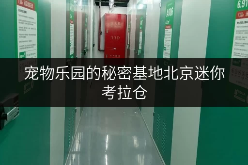 宠物乐园的秘密基地北京迷你考拉仓，宠物用品存放省心之选