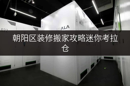 朝阳区装修搬家攻略迷你考拉仓，您的临时存储贴心方案