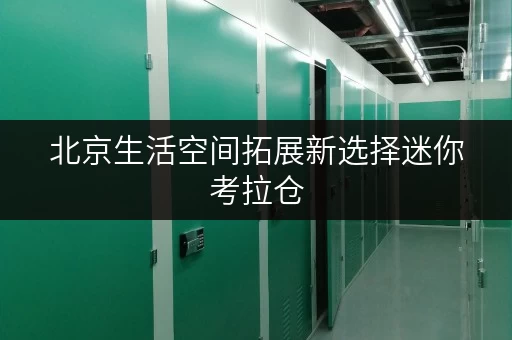 北京生活空间拓展新选择迷你考拉仓,存取无忧,全时段服务 北京生活空间拓展新选择迷你考拉仓,存取无忧,全时段服务
