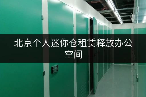 北京个人迷你仓租赁释放办公空间,提升工作效率新选择 北京个人迷你仓租赁释放办公空间,提升工作效率新选择