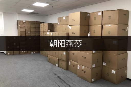 朝阳燕莎,库房出租新选择——迷你考拉仓,存取无忧,全时段服务 朝阳燕莎,库房出租新选择——迷你考拉仓,存取无忧,全时段服务