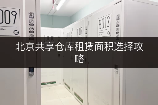 北京共享仓库租赁面积选择攻略,让你的存储空间物尽其用 北京共享仓库租赁面积选择攻略,让你的存储空间物尽其用
