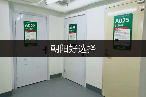 朝阳好选择，迷你考拉仓带你轻松存