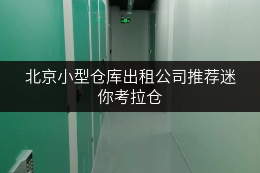 北京小型仓库出租公司推荐迷你考拉仓，您的便捷存储专家