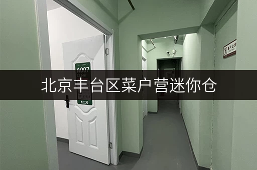 北京丰台区菜户营迷你仓,办公空间释放新思路 北京丰台区菜户营迷你仓,办公空间释放新思路