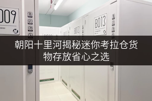 朝阳十里河揭秘迷你考拉仓货物存放省心之选,价格透明解析 朝阳十里河揭秘迷你考拉仓货物存放省心之选,价格透明解析
