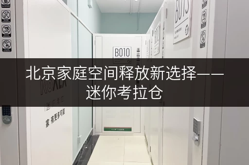 北京家庭空间释放新选择——迷你考拉仓,轻松找到理想小库房 北京家庭空间释放新选择——迷你考拉仓,轻松找到理想小库房