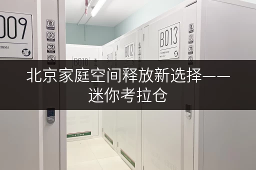 北京家庭空间释放新选择——迷你考拉仓,品质生活从此无忧 北京家庭空间释放新选择——迷你考拉仓,品质生活从此无忧