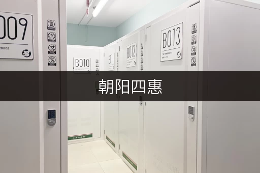 朝阳四惠,便捷存取,迷你考拉仓为您打造无忧仓储空间 朝阳四惠,便捷存取,迷你考拉仓为您打造无忧仓储空间