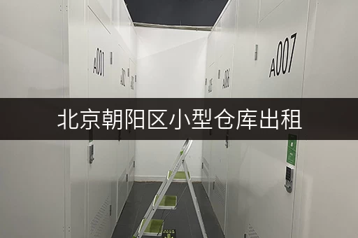 北京朝阳区小型仓库出租，迷你考拉仓让您存取无忧