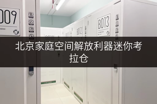 北京家庭空间解放利器迷你考拉仓,安全温湿监控,您的私人存储空间 北京家庭空间解放利器迷你考拉仓,安全温湿监控,您的私人存储空间