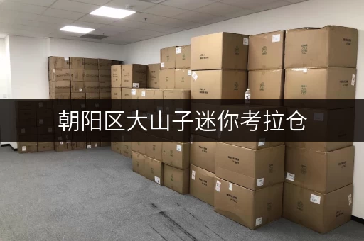 朝阳区大山子迷你考拉仓,打造货物存放省心存储新方案 朝阳区大山子迷你考拉仓,打造货物存放省心存储新方案
