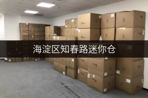 海淀区知春路迷你仓,安全温湿监控,守护您的存储空间 海淀区知春路迷你仓,安全温湿监控,守护您的存储空间