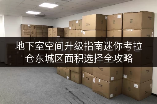 地下室空间升级指南迷你考拉仓东城区面积选择全攻略 地下室空间升级指南迷你考拉仓东城区面积选择全攻略