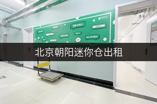 北京朝阳迷你仓出租，价格透明，随存随取，尽享便捷