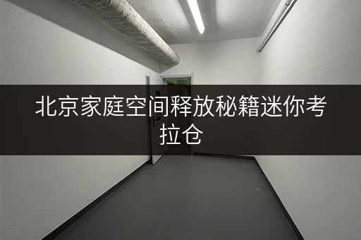 北京家庭空间释放秘籍迷你考拉仓,品质生活新选择 北京家庭空间释放秘籍迷你考拉仓,品质生活新选择
