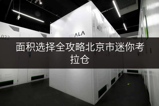 面积选择全攻略北京市迷你考拉仓,打造个性化存储方案 面积选择全攻略北京市迷你考拉仓,打造个性化存储方案