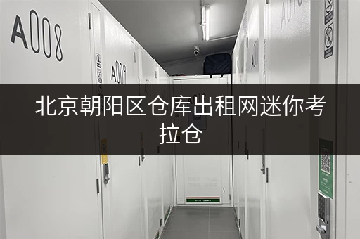 北京朝阳区仓库出租网迷你考拉仓，打造理想存储空间全攻略