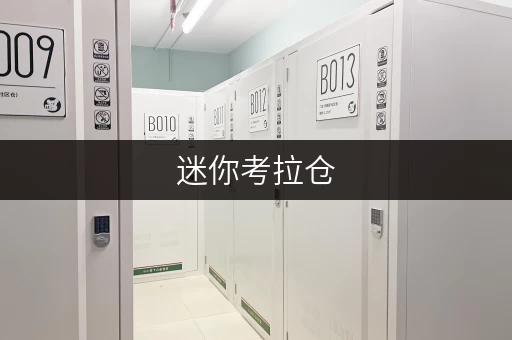 迷你考拉仓，您的家庭空间释放管家