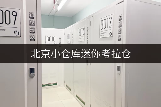 北京小仓库迷你考拉仓，在线下单释放办公空间新可能