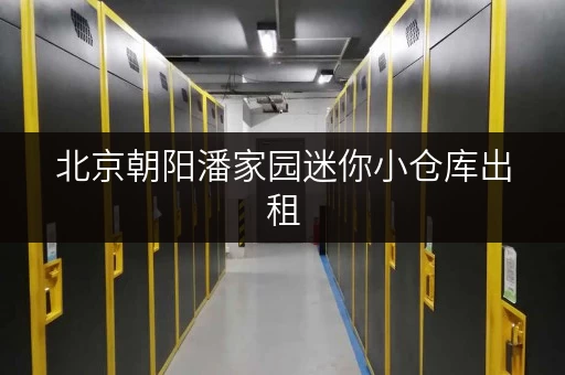 北京朝阳潘家园迷你小仓库出租，价格透明攻略，省心又省钱！