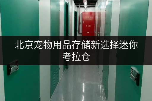 北京宠物用品存储新选择迷你考拉仓,宠物用品安全存储费用全解析 北京宠物用品存储新选择迷你考拉仓,宠物用品安全存储费用全解析
