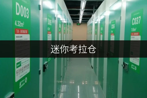 迷你考拉仓,您的便捷储物专家 迷你考拉仓,您的便捷储物专家