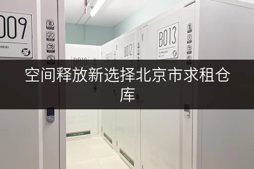 空间释放新选择北京市求租仓库，迷你考拉仓为您打造品质生活新空间