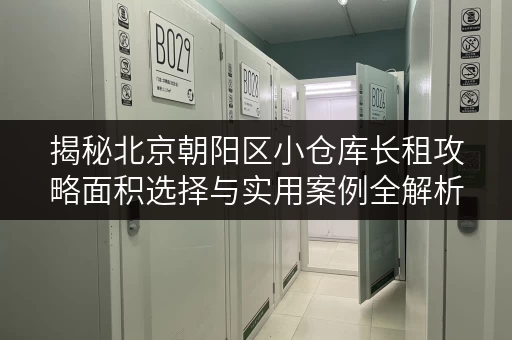 揭秘北京朝阳区小仓库长租攻略面积选择与实用案例全解析 揭秘北京朝阳区小仓库长租攻略面积选择与实用案例全解析