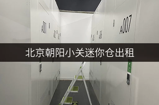 北京朝阳小关迷你仓出租，随存随取，便捷无忧