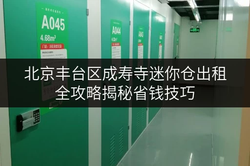 北京丰台区成寿寺迷你仓出租全攻略揭秘省钱技巧,告别价格迷茫! 北京丰台区成寿寺迷你仓出租全攻略揭秘省钱技巧,告别价格迷茫!
