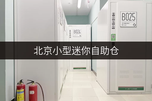 北京小型迷你自助仓,安全与温湿监控双重保障,价格透明揭秘! 北京小型迷你自助仓,安全与温湿监控双重保障,价格透明揭秘!