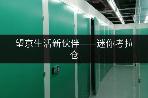 望京生活新伙伴——迷你考拉仓,存取便捷,全天候服务 望京生活新伙伴——迷你考拉仓,存取便捷,全天候服务