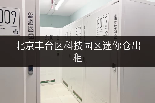 北京丰台区科技园区迷你仓出租,办公空间释放新篇章 北京丰台区科技园区迷你仓出租,办公空间释放新篇章