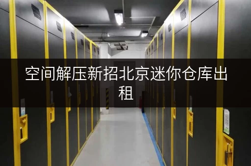 空间解压新招北京迷你仓库出租,让办公用品存放更便捷! 空间解压新招北京迷你仓库出租,让办公用品存放更便捷!