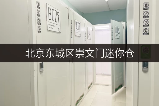 北京东城区崇文门迷你仓,搬家装修临时存储的贴心选择 北京东城区崇文门迷你仓,搬家装修临时存储的贴心选择